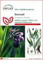 SAFLAX Blumensamen SAFLAX - Samen - Beinwell