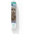 DIAMOND DOTZ - Diamond Painting Katzenbaby
