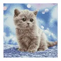DIAMOND DOTZ - Diamond Painting Katzenbaby | Kit (Bastelset) (2024) | 2591776
