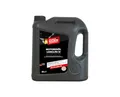 NIGRIN Motorenöl 5W-30 LongLife III | 6 Liter | für Pkw- Otto- und Dieselmotoren einschließlich Partikelfilter, Mehrbereichsmotoröl auf HC-Synthese Basis, VW 504 00/507 00/503 00/506 00