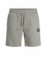 JACK & JONES Male Sweat-Shorts Regular Fit Sweat-Shorts