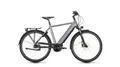 Victoria E-Bike VICTORIA Elektro-Trekkingrad "TRESALO 11" (1), Diamant, 28", carbonit
