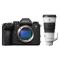 Sony Alpha 1 II (ILCE-1M2B) + SEL 300mm f/2.8 GM OSS