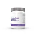 DENTASAN ProbioGUM Spearmint Kaugummi 30 St PZN 15660357