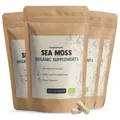 Cupplement® - Sea Moss Kapseln 500 mg Bio Multipack