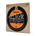 D'Addario EJ43 Pro-Arte Nylon-Saiten für Konzertgitarre, leichte Spannung