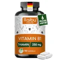 Vitamin B1 (Thiamin) Hochdosiert, 250 mg pro Kapsel - 6 Monatsvorrat: 180 vegane Kapseln - Premium Vitamin B1, hohe Bioverfügbarkeit & laborgeprüft - Ohne unerwünschte Zusätze, Raibu