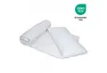 livessa Bettdecke + Kopfkissen Ideal für Ganzjahreszeiten mit 300 g/m² Füllung, Füllung: Hohlfaser, Bezug: Mikrofaser, Bettwaren SET weich und atmungsaktiv