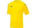 Jako Fußballtrikot 4233 Trikot Team KA