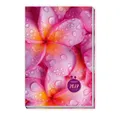 Buchkalender TRÖTSCH - Taschenkalender A6 Flowers 2027 Wochenkalender