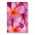 TRÖTSCH - Taschenkalender A6 Flowers 2027 | Trötsch Verlag GmbH & Co. KG | 2027