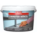 Lugato 5 Minuten Mörtel - 10kg 5670