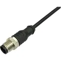 BKL Electronic 2702026 Sensor-/Aktor-Anschlussleitung M12 Stecker, gerade 10m Polzahl: 4.5 1St. (2702026)