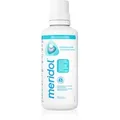 Meridol Gum Protection Mundspülung ohne Alkohol 400 ml