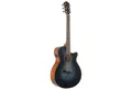 Ibanez Westerngitarre, Westerngitarren, 000/OM Gitarren, AEG50 IBH - Westerngitarre