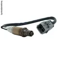 Original BOSCH Lambdasonde 4-polig // LS 6206 // 0 258 006 206