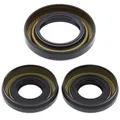Reparatursatz, Differential für ALL BALLS AB25-2001-5
