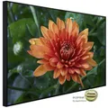 papermoon Infrarotheizung "EcoHeat - Blume ", Matt-Effekt - bunt