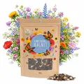500g Schmetterlingswiese Samen für eine bunte Blumenwiese - Farbenfrohe & nektarreiche Wildblumensamen Mischung für Schmetterlinge