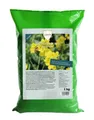 Linsor Gelbsenf Gründünger, Bodenverbesserer, schnellgrüner Erosionsschutz, Zwischenfrucht, 1kg für 200m²