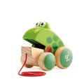 Hape Nachziehfrosch Nachziehtier Frosch