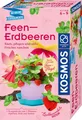 Feen-Erdbeeren | Experimentierkasten | Deutsch | Spiel | Brettspiel | 657819