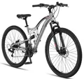 Chillaxx Mountainbike, Grey-Disc-Bremse
