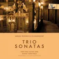 Triosonaten für zwei Flöten und Basso continuo, 1 Audio-CD | Kleinknecht | CD