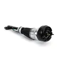 Arnott AS-3160 Air Suspension Strut for MERCEDES-BENZ