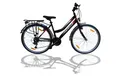Talson Cityrad 28 Zoll Cityrad, 21 Gang Shimano, Kettenschaltung, mit Beleuchtung nach StVZO und Gepäckträger Schwarz