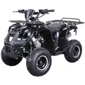 Benzin-Jugend-Quad S-8 Farmer, 125 ccm, ATV, Not-Aus-Leine, Automatik, Alarmanlage, Scheibenbremse (Schwarz)
