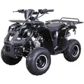 Jugendquad S-8 Farmer Benzin Quad | Midiquad - Miniquad - Pocket Bike - Pocketquad - Automatik - Not-Aus-Leine - Alarmanlage - Offroad Quad (Schwarz)