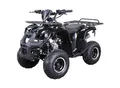 Benzin-Jugend-Quad S-8 Farmer, 125 ccm, ATV, Not-Aus-Leine, Automatik, Alarmanlage, Scheibenbremse (Schwarz)