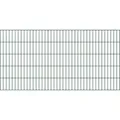 Alberts Doppelstabmattenzaun Doppelstab-Gittermatte 6/5/6, LxH: 200x100 cm grün