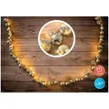 Näve LED-Outdoor-Weihnachtslichterkette l: 250cm gold