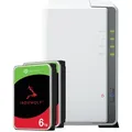 Synology DS223j 12TB Seagate IronWolf NAS-Bundle NAS inkl. 2x 6TB Seagate IronWolf s 3.5 Zoll SATA Festplatte