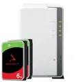 Synology DS223j 12TB Seagate IronWolf NAS-Bundle NAS inkl. 2x 6TB Seagate IronWo
