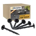 Hinrichs Erdnägel 100 Stück - Erdanker Unkrautvlies extra stark - 6 Widerhaken - 14,5 cm lang, 35mm Kopfdurchmesser - Bodenvlies Maulwurfnetz Folien Planen Bodenanker- Kunststoffnägel Schwarz
