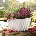 Bacino Cottage Komplettset Weiß - Lechuza