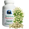 MUTTERKRAUT 180 Kapseln Migränekraut nach HILDEGARD VON BINGEN Feverfew "Kopfgewitter" - NATURDOSIERT = 100% NATUR pur. OHNE ZUSATZSTOFFE. 26307-180