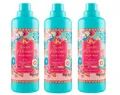 3x Tesori d'Oriente Ayurveda Weichspüler Konzentriert Amla-Öl Patchouli 750ml