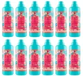 12x Tesori d'Oriente Ayurveda Weichspüler Konzentriert Amla-Öl Patchouli 750ml