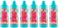 6x Tesori d'Oriente Ayurveda Weichspüler Konzentriert Amla-Öl Patchouli 750ml