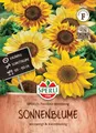 SPERLI Sonnenblumensamen SPERLI's Pocolino Mischung, Mehrfarbige Kleinblumen, Einjährige 3-4m Hohe Pflanzen, Ideal zum Schnitt, Blütezeit August-Oktober