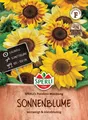 SPERLI Sonnenblumensamen Pocolino Helianthus debilis 15 Pflanzen