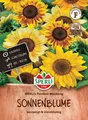Sperli Sonnenblumensamen SPERLI's Pocolino Mischung, für ca. 15 Planzen