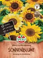 Sperli Sonnenblume " Pocolino - Mischung mehrstielig Samen Blumen Sämereien