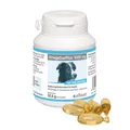 OmegaDuoPlus 1000 mg 60 Kapseln | Hunde | Fettsäure | Fischöl