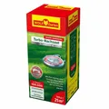 Rasensaat Turbo Nachsaat Schattenrasen 25m² Bio Poa supina 500g