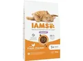 IAMS Advanced Nutrition Trockenfutter Katze, Adult, Hairball, Huhn 10 kg